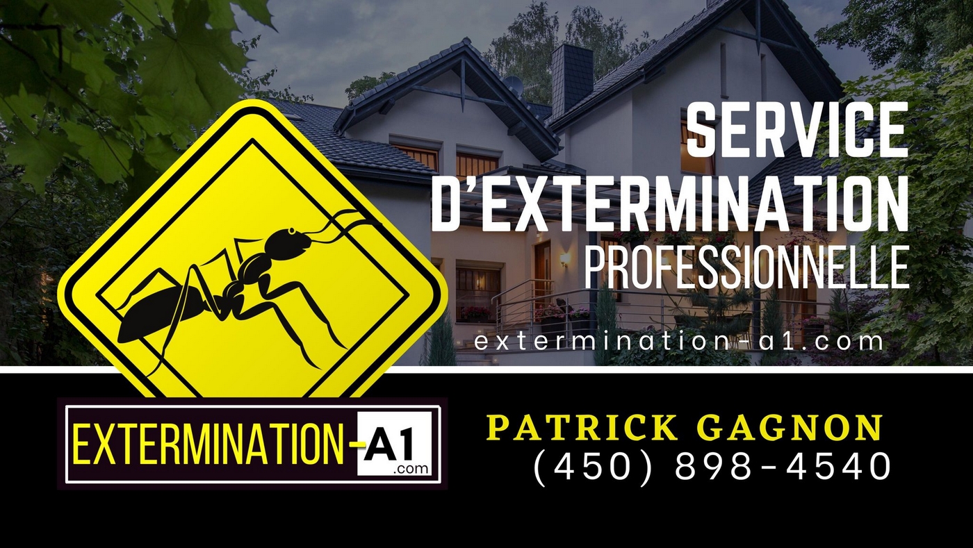 Extermination A1 - Exterminateur à Joliette et les environs | Exterminateur à Sainte Marcelline | Extermination Saint-Alphonse-Rodriguez 450-898-4540